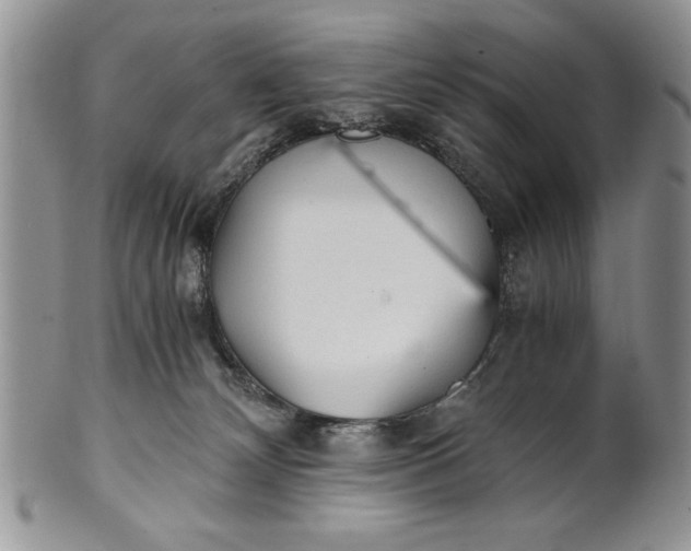 X0000101950132200808011054