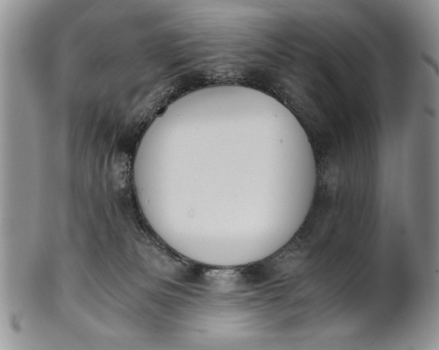 X0000101950133200808011054