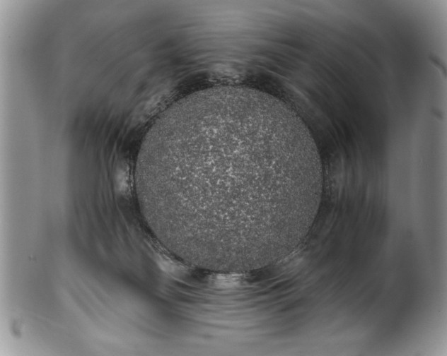 X0000101950134200808011054