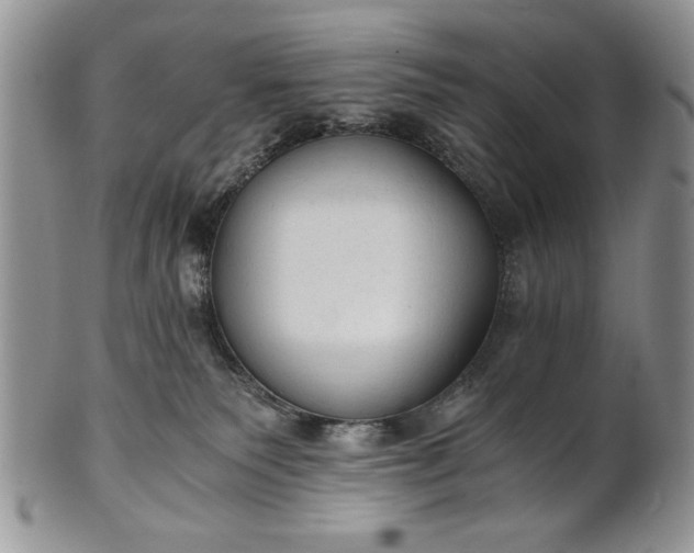 X0000101950135200808011054