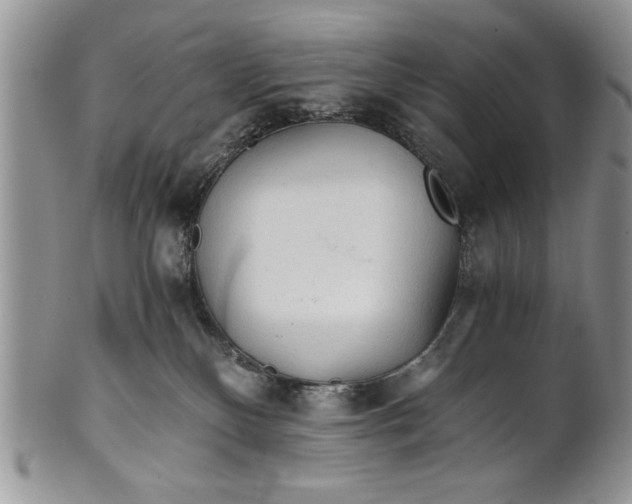 X0000101950136200808011054