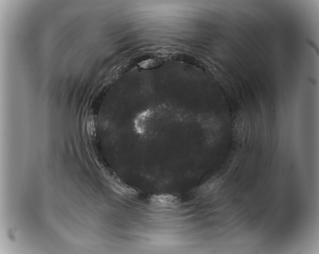 X0000101950137200808011054