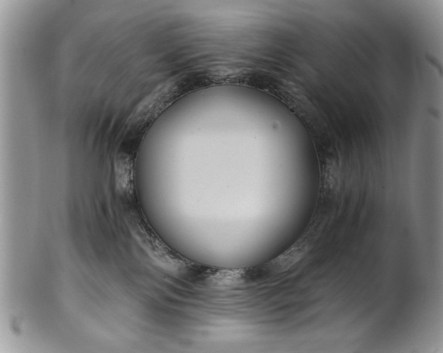 X0000101950138200808011054