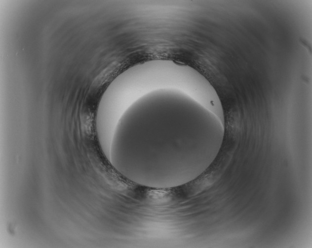 X0000101950139200808011054