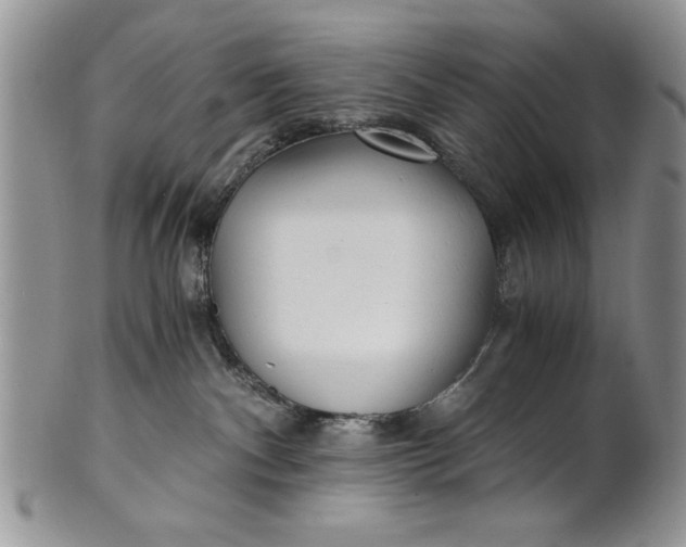 X0000101950140200808011054