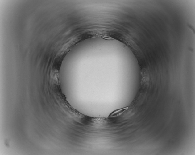 X0000101950141200808011054