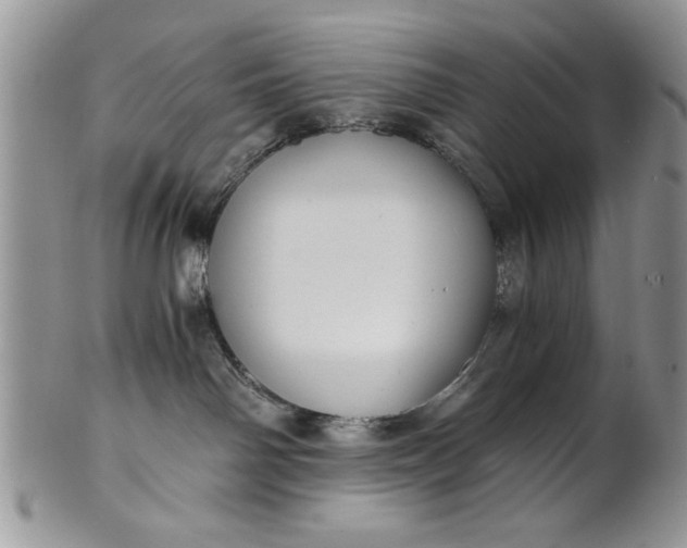 X0000101950142200808011054