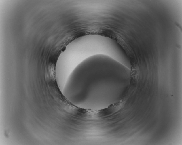 X0000101950143200808011054