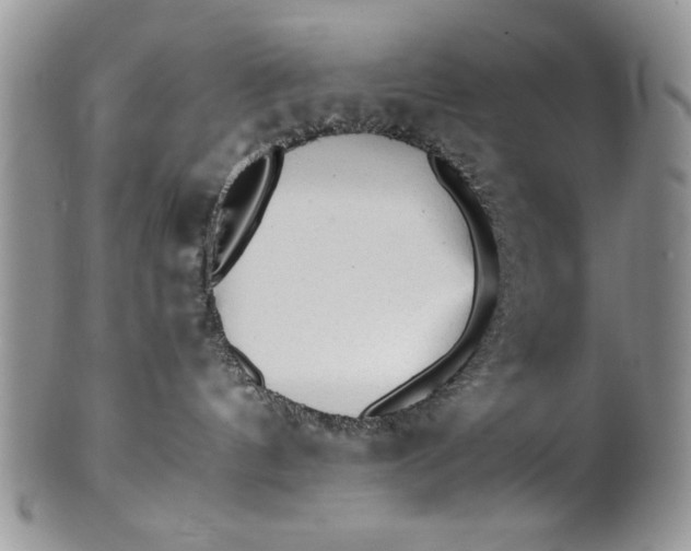 X0000101950144200808011054