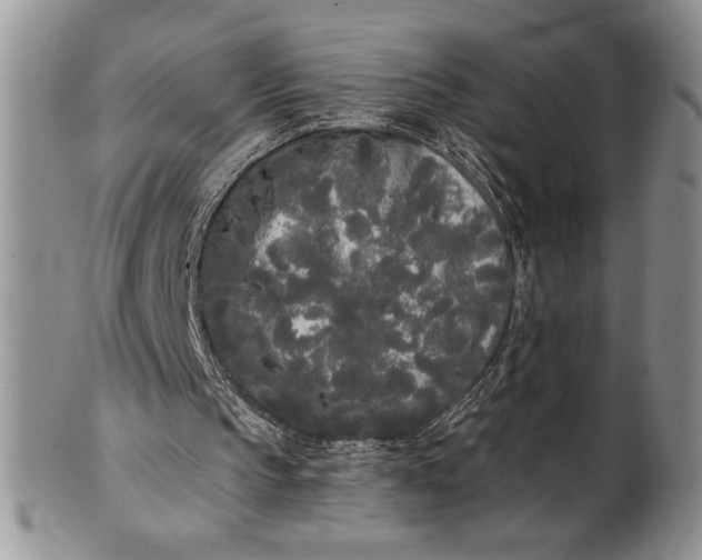 X0000101950145200808011053