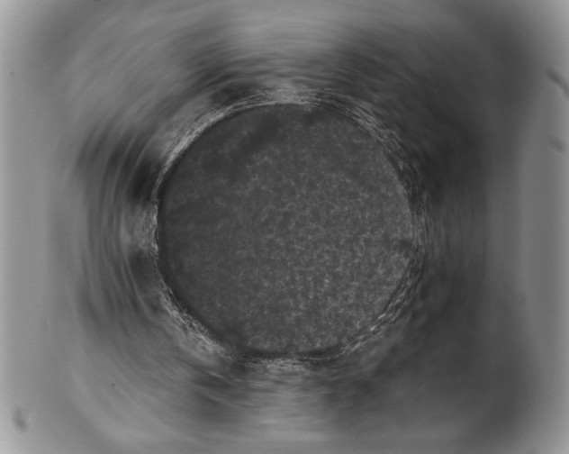 X0000101950146200808011053