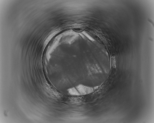 X0000101950147200808011053