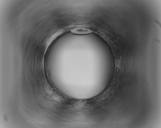 X0000101950148200808011053