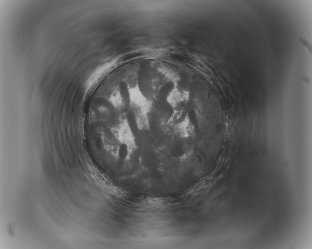 X0000101950149200808011053