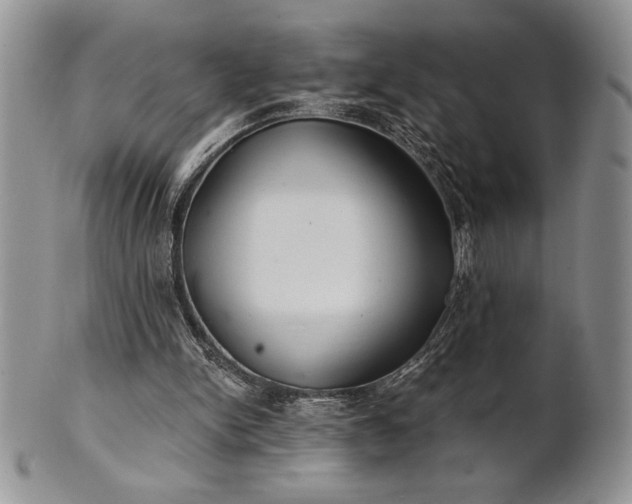 X0000101950150200808011053