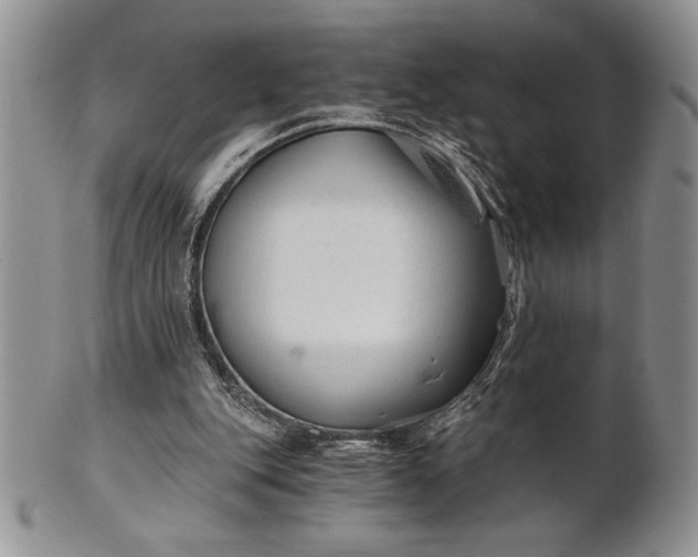 X0000101950151200808011053