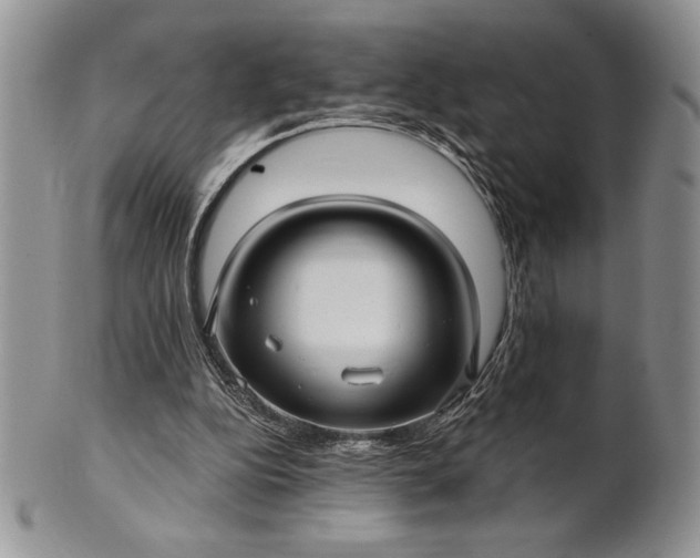 X0000101950152200808011053