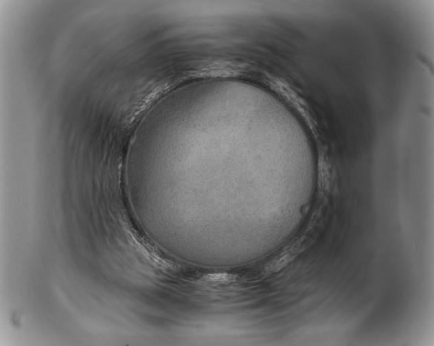 X0000101950153200808011053