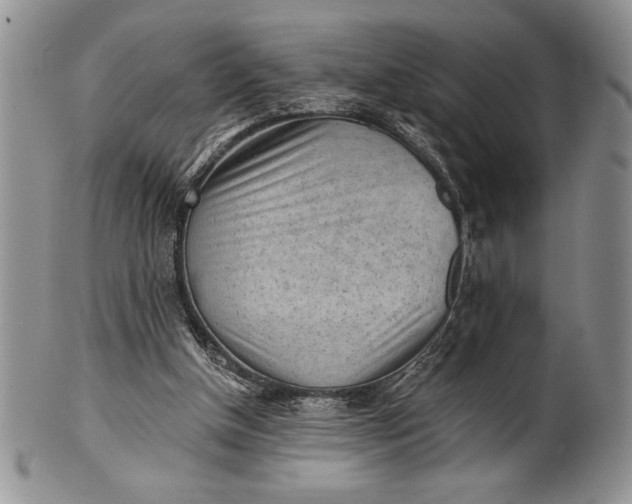 X0000101950154200808011053