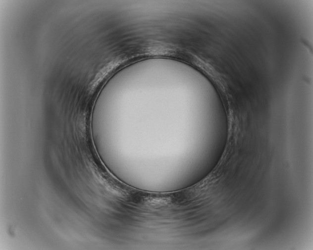 X0000101950155200808011053