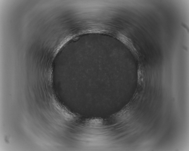 X0000101950156200808011053