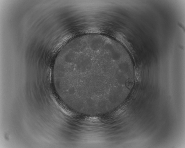 X0000101950157200808011053