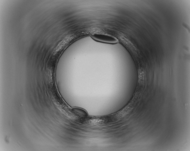 X0000101950158200808011053