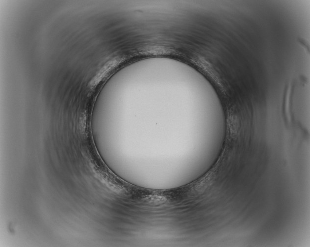 X0000101950159200808011053