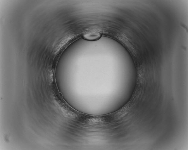 X0000101950160200808011053