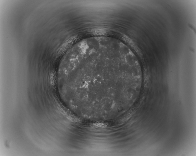 X0000101950161200808011053