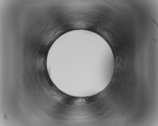 X0000101950162200808011053