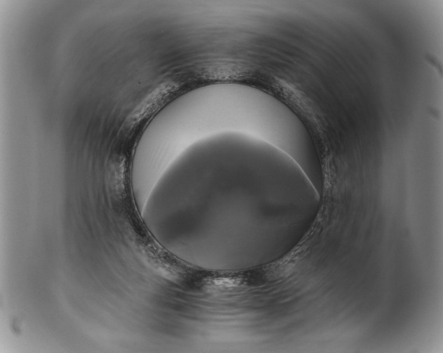 X0000101950163200808011053