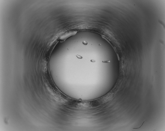 X0000101950164200808011053