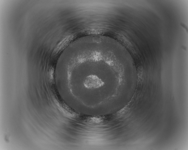 X0000101950166200808011053