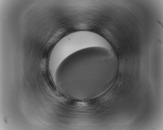 X0000101950167200808011053