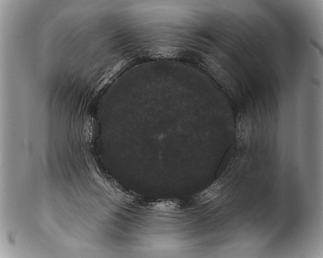 X0000101950168200808011053