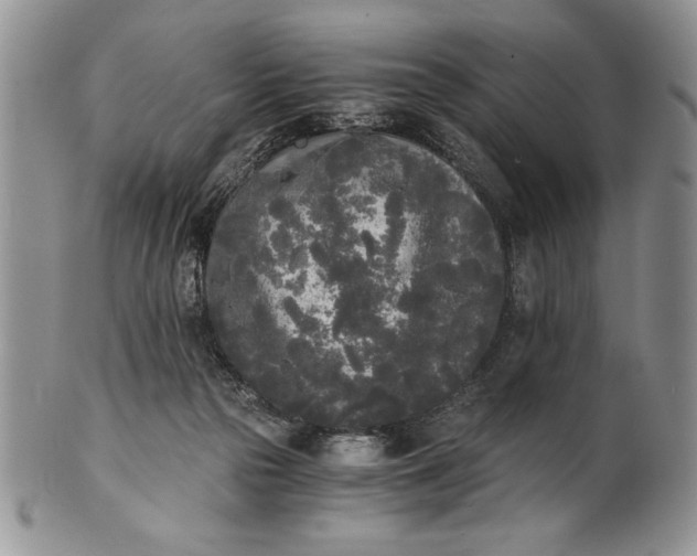 X0000101950169200808011053