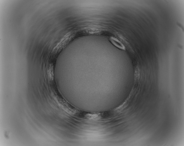 X0000101950170200808011053