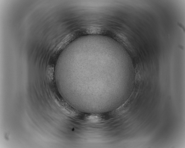 X0000101950171200808011053