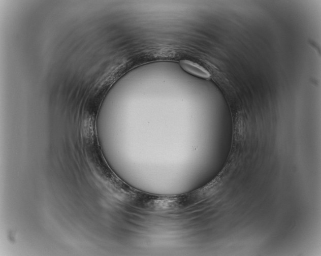 X0000101950172200808011053