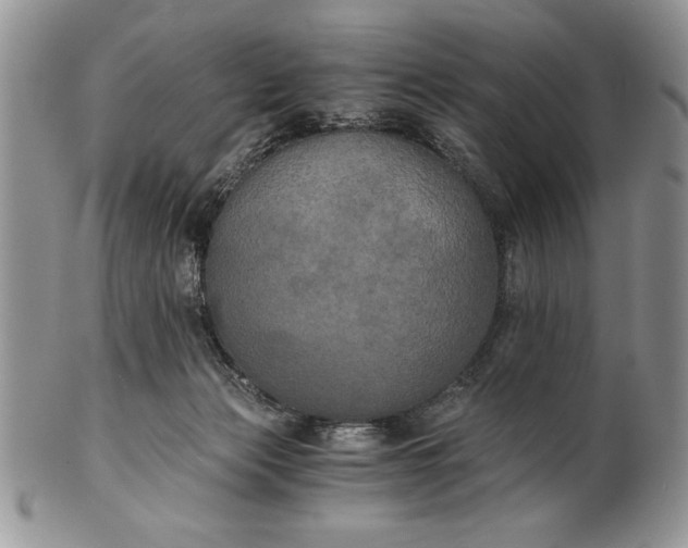 X0000101950173200808011053