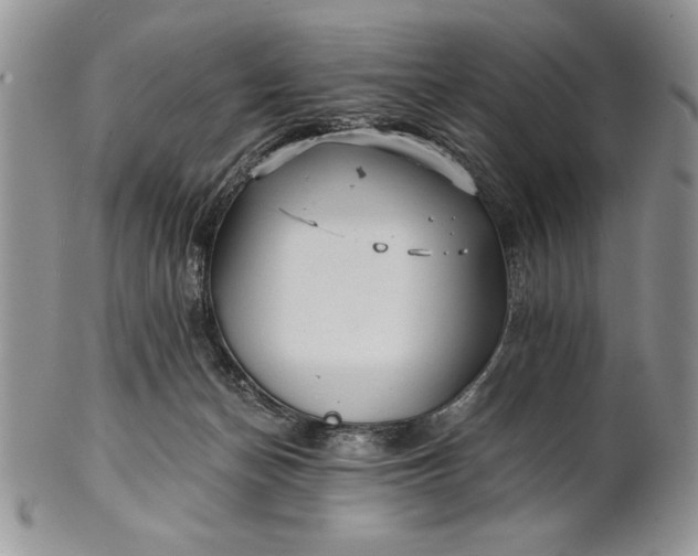 X0000101950174200808011053