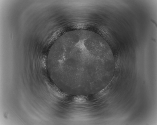 X0000101950175200808011053