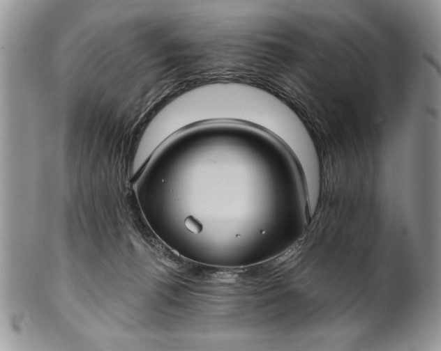 X0000101950176200808011053