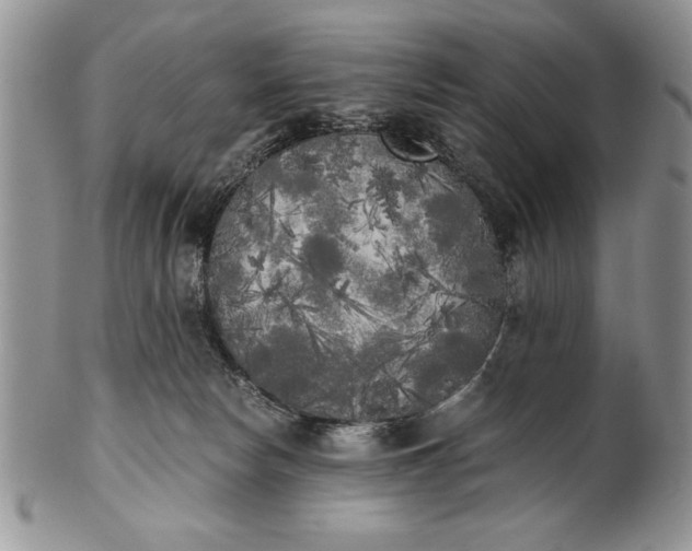 X0000101950178200808011053