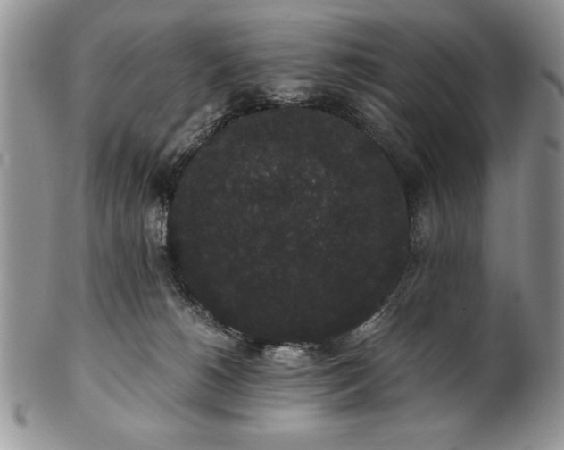 X0000101950180200808011053