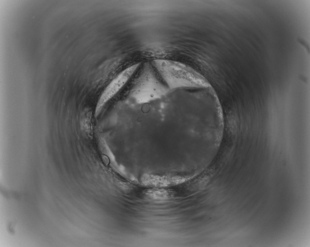 X0000101950181200808011053