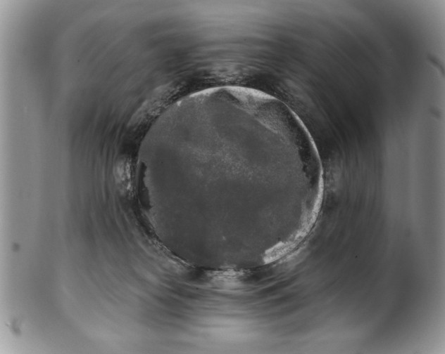 X0000101950182200808011054