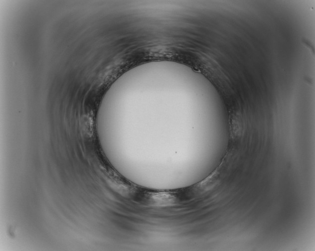 X0000101950183200808011054