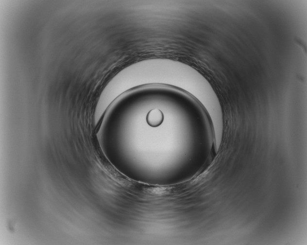 X0000101950184200808011054